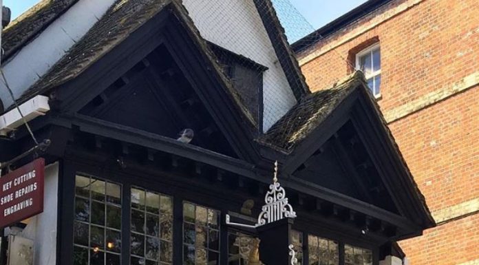 REVIEW: Plough at 38: Heston’s chef, a fine dining restaurant, pub, microbrewery and full refurb. Why Chris Mulhall has big plans for Oxford diners