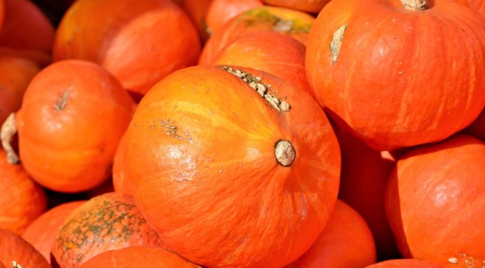 Carve it, Cook it, Eat it but don’t Bin it! The Oxford Pumpkin Festival parties on with events, meals and tours across the county