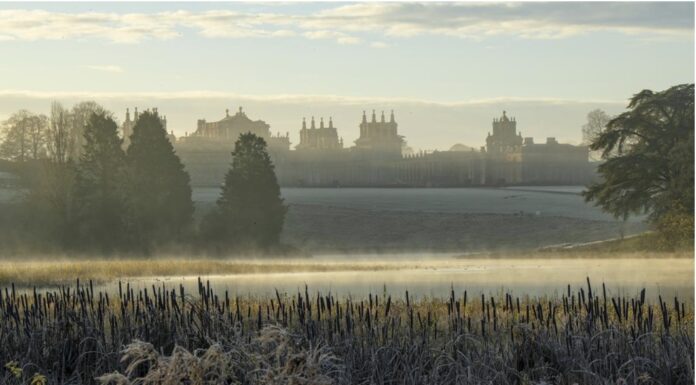 TOP WALKS: Baby it’s cold outside but you can still enjoy a stroll in Oxfordshire’s glorious countryside!