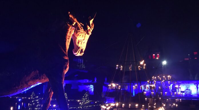 Illuminated Trail at Blenheim Palace is extended to January 10 due to popular demand and virtual sell out