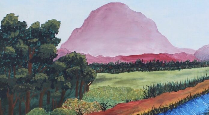 “There are no words to express my joy” Oxford’s asylum seekers and refugees on featuring in ‘Nature, Journeys’ at Modern Art Oxford until Sunday