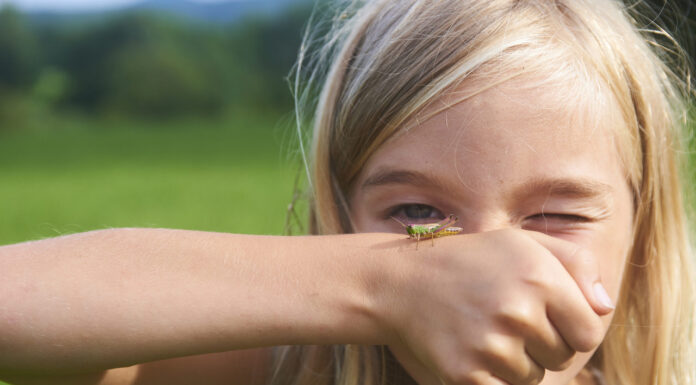 Summer is here with a jam-packed programme of hands-on science for children in Oxfordshire!