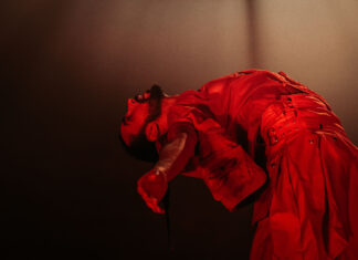 From ballet to circus and hip hop, expect world class performances at Dancin’ Oxford’s Spring Dance Festival later this month