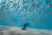 WHAT TO BOOK NOW! Our unmissable autumn round-up of big shows, plays, music, art, comedy, festivals and family-friendly events coming to Oxfordshire