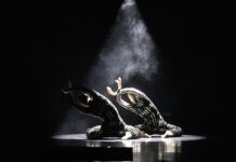 ‘This Spring Dance Festival feels particularly special’ Dancin’ Oxford celebrates 20th anniversary in Oxford, Witney, Banbury and Bicester