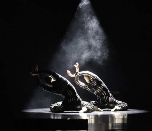 ‘This Spring Dance Festival feels particularly special’ Dancin’ Oxford celebrates 20th anniversary in Oxford, Witney, Banbury and Bicester