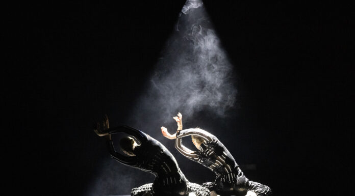 ‘This Spring Dance Festival feels particularly special’ Dancin’ Oxford celebrates 20th anniversary in Oxford, Witney, Banbury and Bicester