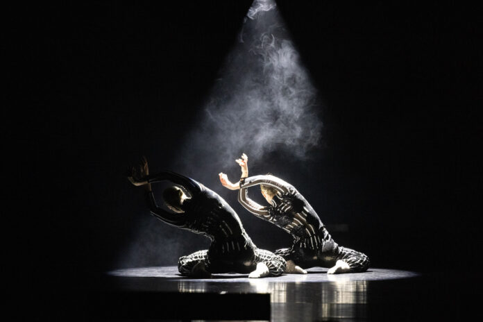 Ekleido-14-CREDIT-Paul-Hampartsoumian