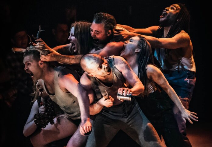 Michael Lynch (1 of 1)VyteGarrigaSimonGleaveBrionyO'Callaghan DaleWylde HenryMaynard PaulinaKrzeczkowska KyllThomas-Cole