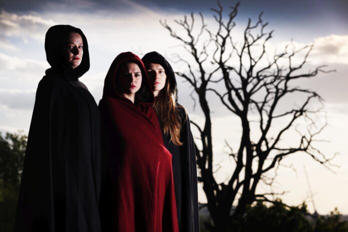 Witches with that tree Front