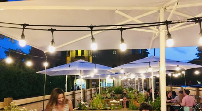 REVIEW: ‘One of our all time favourite places’ Why we love The White Rabbit in Oxford – top pizzas, eclectic clientele, chilled vibes, packed garden, fab staff and great beer!