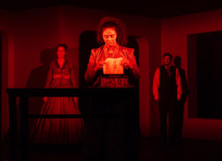 REVIEW: ‘An important and impressive debut. Laura Kieler will never be ignored again’ Don’t miss Burning Down The House at The Schwarzman Centre