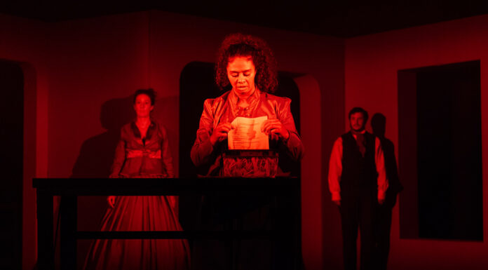 REVIEW: ‘An important and impressive debut. Laura Kieler will never be ignored again’ Don’t miss Burning Down The House at The Schwarzman Centre